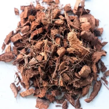 Fibra de coco Chips Expandida