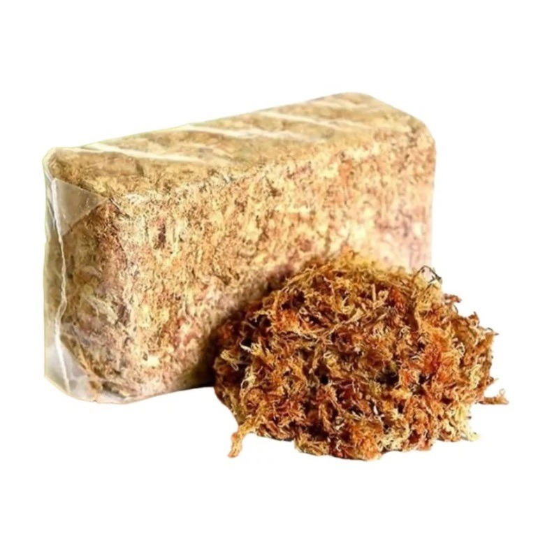 Bloque de Musgo Sphagnum