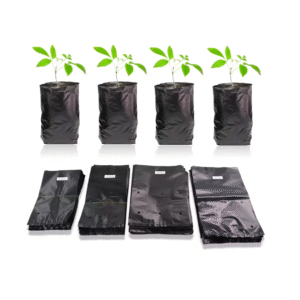 Pack de 10 Bolsas para trasplante