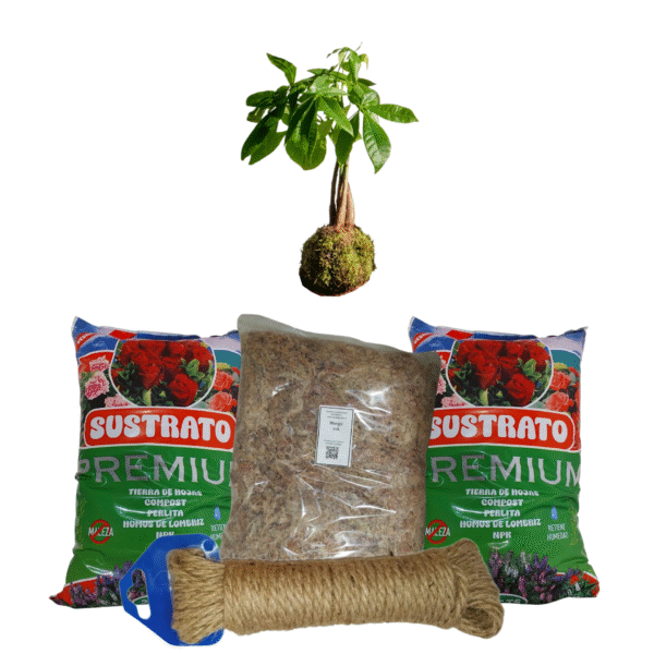 Pack arma tu Kokedama