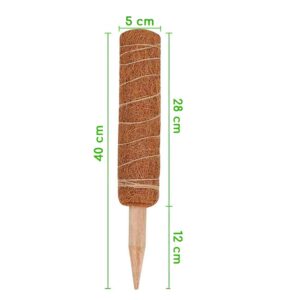 Tutor 40cms (modular)