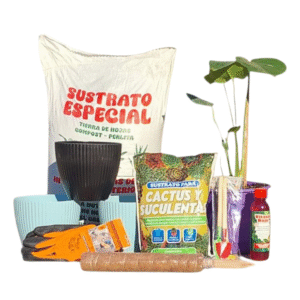 Interior Sostenible